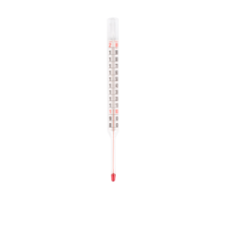 Thermomètre confiseur nu