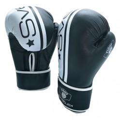 Paire de gants boxe loisir