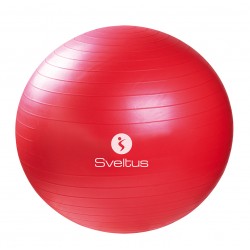 Ballon de gym 650 mm