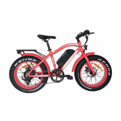 Fat Bike électrique enfant...