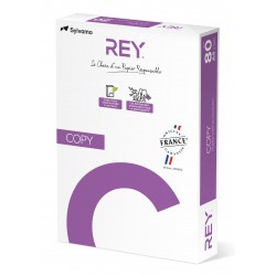 Palette 240 ramettes 500...
