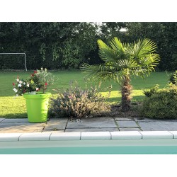 Pots de fleurs 200 litres -...