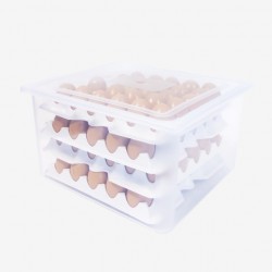 INNOVANT : Boites à oeufs...