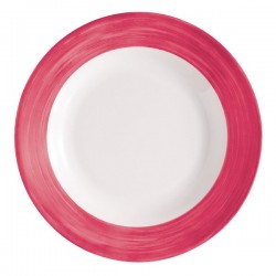 Assiettes plates 255 mm...